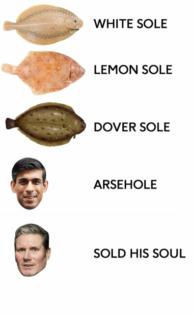 Fish: lemon sole
Fish: Dover sole
Sunak: Arsehole 
Starmer: Sold His Soul