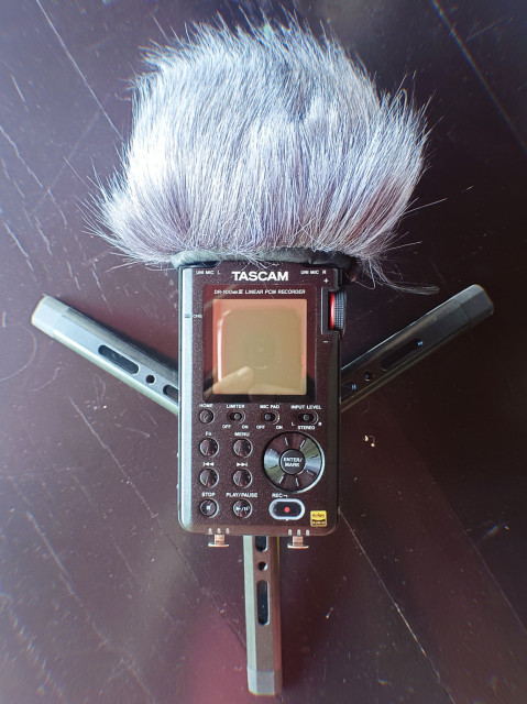 TASCAM DR-100 Mk3 with stand and wind filter.