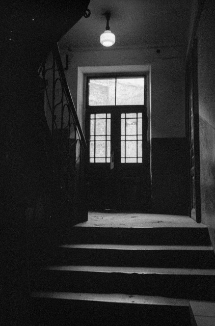 A black and white image of a corridor in the entrance of an old house. In the foreground you can see a staircase leading to the floor. The door to the apartment is on the right. In the center is a door with a window leading to the courtyard. Light from the street falls through this window inside. There is a lamp hanging from the ceiling. But despite this, it is very dark inside the corridor. On the left you can see the metal railing of the stairs leading to the second floor