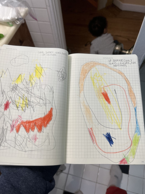 An open journal with grid lines. On the left page, a child’s spiky scribbles, partly colored in with red and orange and yellow. Caption at the top says “Unk snake. Has lots of venom.” On the right page a kids scribbles in the shape of a spiral colored in many colors. Caption reads “Up snake (only eats leaves, not humans)”. Picture is taken in the bathroom. Black and white tile floor and a small baby crawling in the background. 