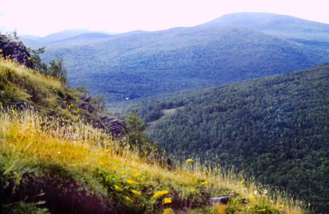 We are on a steep grassy stretch of a mountainside covered with grass, yellow and white wildflowers, and a few large gray rock outcrops. Above the green wooded shoulder of a mountain, we see several lofty mountains cascading into the distance. The sky is clear and bright, but whitewashed and hazy.