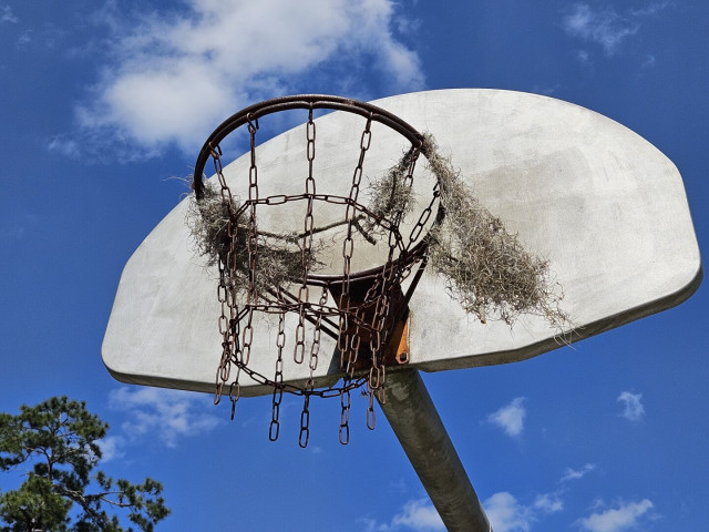 Looking up at a basketball backstop with a rusty chain "net" against a deep blue sky with fluffy white clouds.  Several patches of Spanish Moss have blown in the wind from nearby trees and currently hang from the basketball rim.