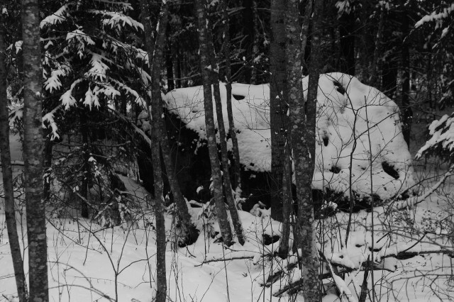 Black and white photograph of a large boulder behind trees and covered in snow.