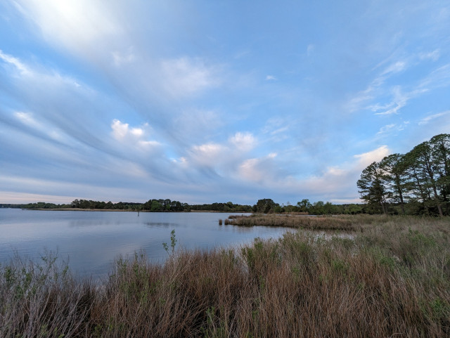 Photo of a partly sunny morning on Harris Creek sun rising behind a shelf of grey-white cloud, sky blue and peeking out from breaks in the overcast. Marsh is greening up for spring. Creek water is calm and perfectly reflects the sky and clouds.