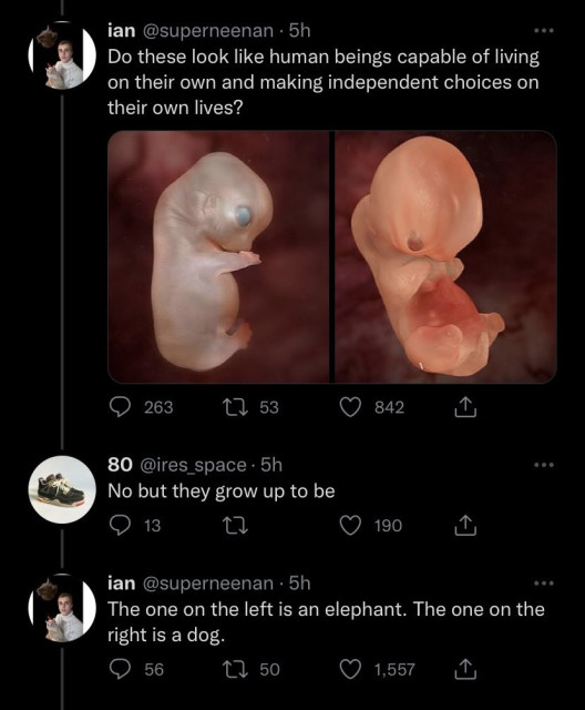Thread of three posts on the bird
Ian: Picture of two foetuses, text "Do these look like human beings capable of living on their own and making independent choices on their own lives?"
80: No but they will grow up to be
Ian: The one on the left is an elephant. The one on the right is a dog