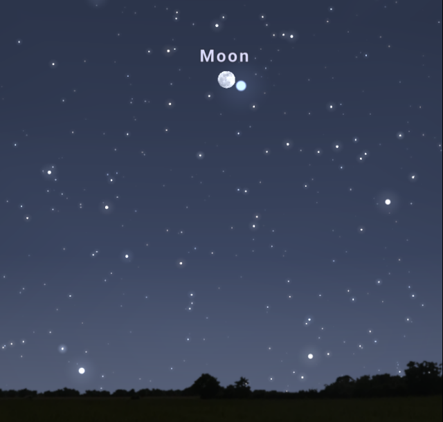 screenshot from the planetarium app Stellarium showing the sky looking SE after sunset. The moon is labeled and a star appears to be very close to it.