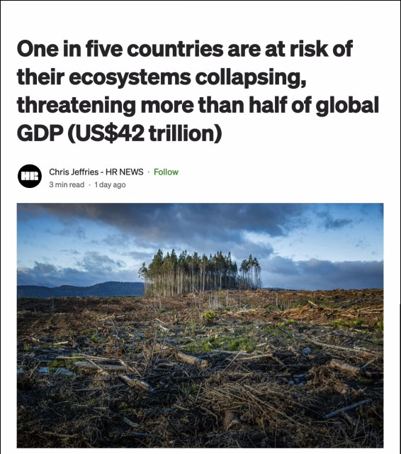 Screenshot of the heading on the linked blog article. Headline says: "One in five countries are at risk of their ecosystems collapsing, threatening more than half of global GDP." Below is a devastating photo of clear-cut forest logging.