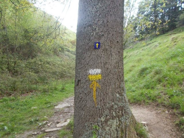 A tree trunk on a mountain path. The tree has a yellow arrow, a horizontal white stripe above a horizontal yellow stripe (PR trail blaze) and a small yellow arrow on a blue sign. It’s an overcast spring day. 
