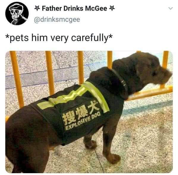 A dog wearing an EXPLOSIVE DOG jacket with caption "pets him very carefully."