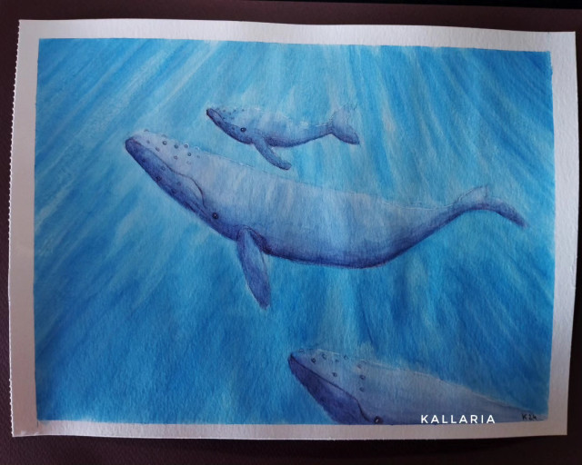 Aquarelle représentant trois baleines. On y voit une maman baleine et son petit tout en haut, et une troisième baleine en bas. Des rayons de lumière les éclairent. 