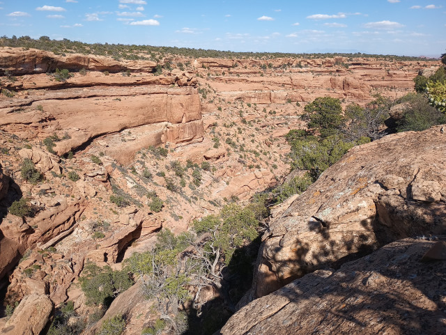 A deep canyon of reddish tan sandstone. The sides of the canyon are dotted with juniper and pinon pine trees. It very steep and rocky with large boulders everywhere.