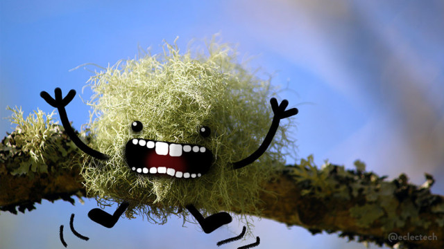 A photo of a big ball of pale green lichen on a branch that cuts horizontally against the screen. It is lit by the sunshine, and the sky is blue behind. I have drawn eyes, a big open toothy mouth, upturned arms and wee legs as if it's jumping on to the lichen ball. It started off as a happy thing, then started to look a bit fierce, so it could be read either way, but I think the overriding impression is RARRRRR!