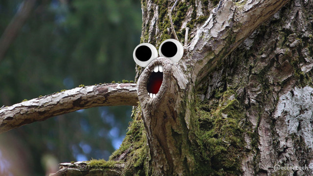 A photo of a tree trunk with a branch that forks left and right at the point where there is a hole. I have added googly eyes above the hole, and teeth inside it, and the left and right branches look like outstretched arms. It might be singing. 