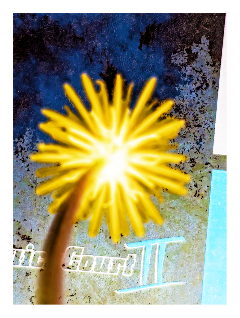 inverted, recolored ground-level view. the underside of a dandelion flower rising from bottom left to the center of the picture. the background is a dirt-caked, translucent basketball goal with branding art,