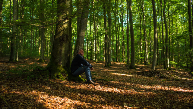 Ich sitze im Ruheforst in Hümmel,.  Ein schöner Buchenwald in der Eifel, dort liegen mein Vater und meine Oma.
Ich sitze auf einer Baumwurzel und schaue nach oben. Es scheint die Sonne in den Wald hinein und wirft helle Flecken auf den Waldboden. 
