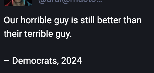 Twoot from a guy who thinks he's very savvy: 

"Our horrible guy is still better than their terrible guy.

-Democrats, 2024"