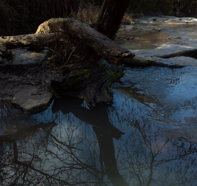 a tree stump reflected in the water of a waterfall. moving water of a little waterfall flowing around. colors are of subtle muted mirrored green among the bluish water.