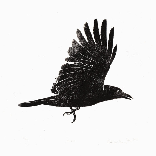 Black crow in flight Lino block printed on white square