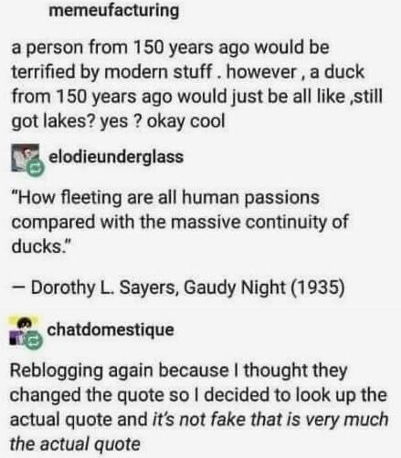 Tumblr conversation:

Memeufacturing: A person from 150 years ago would be terrified by modern stuff. However , a duck from 150 years ago would just be all like, still got lakes? Yes? Okay cool 

Elodieunderglass: “How fleeting are all human passions compared with the massive continuity of ducks” — Dorothy L. Sayers, Gaudy Night (1935) 

Chatdometique: Reblogging again because I thought they changed the quote so I decided to look up the actual quote and it's not fake that is very much the actual quote 