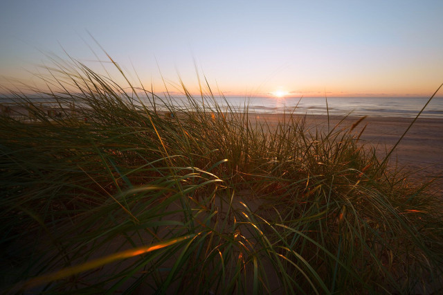 Beach sunset by the sea looking at the horizon with the grass in the foreground reflecting the sun