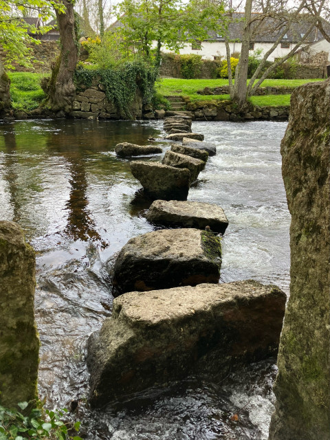 A photo of stepping stones leading across a river. The view is taken from a low angle close to the water’s edge, between two upright rough stone pillars that mark the line of the path. The stepping stones themselves are fairly higgledy-piggledy, the tops of some at quite an angle, and one is out of alignment. You’d have to have good balance to attempt to cross, especially with the river flowing fast or in spate. 
On this occasion the river is running quite fast, swelled by recent rains, the peaty brown water eddying around the stones, but they are still high and dry. 
On the far bank beside a tumbledown wall covered in ivy on the left, several steps lead up to a terraced green. A couple of trees grow up from the bank, one from the wall.  
Beyond the green is a stone cottage - a Devon longhouse - with white painted walls under a slate roof (likely thatch once upon a time). Another cottage can be glimpsed through the trees to the left.