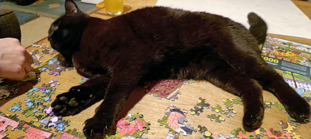 A black sprawled unhelpfully on top of an in-progress jigsaw puzzle