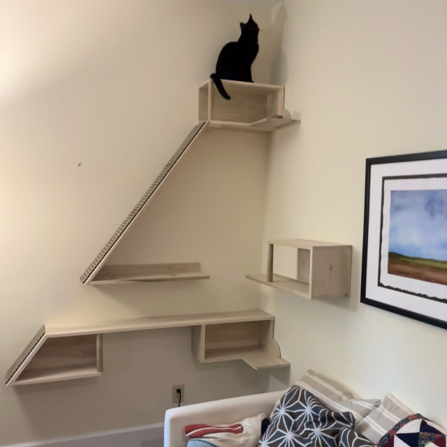 a black cat sits triumphantly atop a big angular cat shelving structure in the corner of a living room