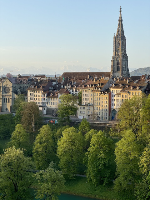An aerial view of the old town of Bern with historic buildings, a prominent Gothic church spire, lush green trees in the foreground, and snow-capped mountains in the distance.
