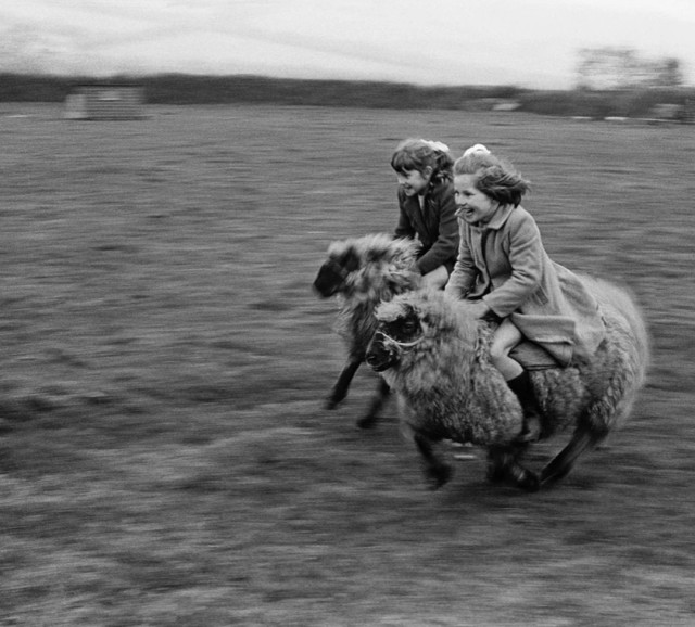 Photography. A black and white photograph of two small, laughing girls in old-fashioned clothes riding two woolly sheep across a meadow.
Additional information for a mural: The motif of the photograph was used by Ricardo Romero for a mural at a former school in Santiago Do Escoural.