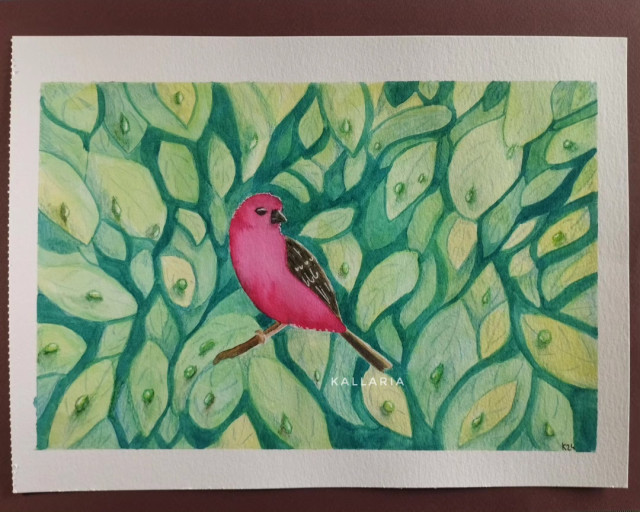 Aquarelle représentant un oiseau rouge debout sur une branche. Il est entouré de feuilles vertes 