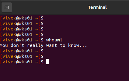 The `whoami` command tells the current username on Linux and Unix-like machines. This twists it into a philosophical question about identity... and displayed "You don't really want to know... " when typed `whoami` command.

