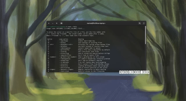 Screenshot of the GNOME Console terminal emulator with an output of the nano --help command.