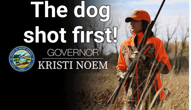 Gov Kristi Noem in hunting gear. With her latest excuse  for shooting her puppy.
The dog shot first.