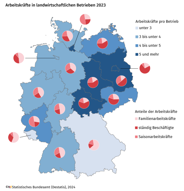 Diese Karte zeigt die Verteilung und Zusammensetzung von Arbeitskräften in landwirtschaftlichen Betrieben in Deutschland im Jahr 2023. Die einzelnen Bundesländer sind in unterschiedlichen Blautönen dargestellt, wobei jeder Ton die Anzahl der Arbeitskräfte pro Betrieb repräsentiert – von unter 3 bis 5 und mehr. Jedes Bundesland ist durch ein Kreisdiagramm ergänzt, das die Anteile der verschiedenen Arbeitskräfte aufzeigt: Familienarbeitskräfte (rosa), ständig Beschäftigte (dunkelrot) und Saisonarbeitskräfte (hellrot). Die meisten Arbeitskräfte pro Betrieb gibt es tendenziell in Ostdeutschland und Hamburg, dort gibt es auch den höchsten Anteil an ständig Beschäftigten. Die Grafik wurde vom Statistischen Bundesamt (Destatis) im Jahr 2024 veröffentlicht.