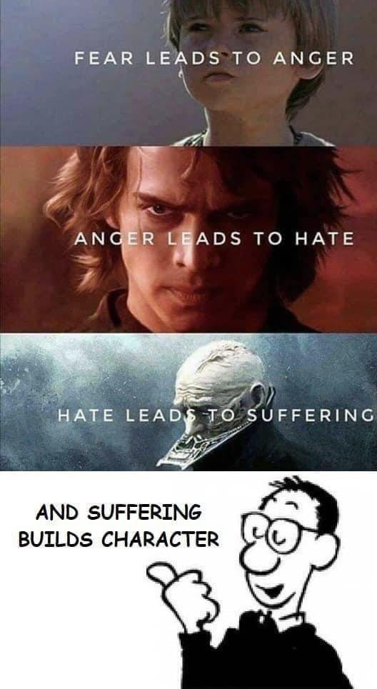 fear leads to anger
anger leads to head
hate leads to suffering
and suffering builds character