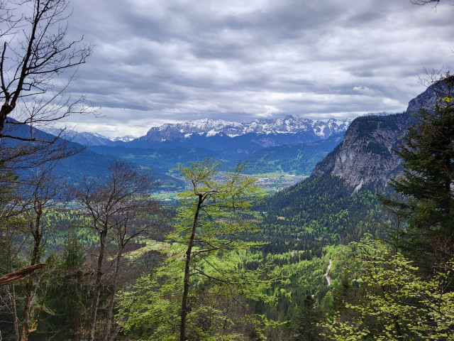 A stunning view of a valley surrounded by lush green trees and majestic mountains. The landscape features a cloudy sky overhead, adding a dramatic touch to the scene. Various types of trees, including Maples, with both green and bare branches, are scattered throughout the valley. Snow can be seen on the mountain peaks in the distance, enhancing the serene and picturesque setting. This outdoor mountain scene exudes a sense of wilderness and tranquility, making it a perfect spot for nature lovers and outdoor enthusiasts to explore and appreciate the beauty of the natural world.