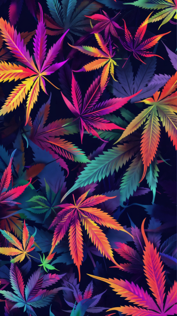 An array of cannabis leaves depicted in a rich kaleidoscope of colors. The leaves, presented in sharp detail, feature shades of purple, pink, orange, yellow, green, and blue, creating a visually striking effect. The arrangement of the leaves is dense, with each one overlapping another, which adds depth and texture to the composition. The dark background accentuates the vivid colors of the leaves, making them pop and giving the image a lively, dynamic appearance. This colorful and artistic representation of cannabis leaves highlights their natural beauty and intricate shapes in a bold and engaging style.