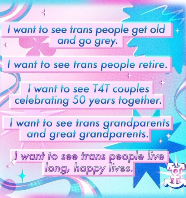 I want to see trans people get old and go grey. 

I want to see trans people retire. 

I want to see T4T couples celebrating 50 years together. 

I want to see trans grandparents and great grandparents together. 

I want to see trans people live long, happy lives. 