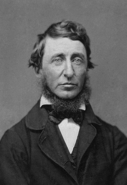 Portrait photograph from a ninth-plate daguerreotype of Henry David Thoreau. Calvin R. Greene was a Thoreau “disciple” who lived in Rochester, Michigan, and who first began corresponding with Thoreau in January 1856. When Greene asked for a photographic image of the author, Thoreau initially replied: “You may rely on it that you have the best of me in my books, and that I am not worth seeing personally – the stuttering, blundering, clodhopper that I am.” Yet Greene repeated his request and sent money for the sitting. Thoreau must have kept this commitment to his fan in the back of his mind for the next several months. On June 18, 1856, during a trip to Worcester, Massachusetts, Henry Thoreau visited the Daguerrean Palace of Benjamin D. Maxham at 16 Harrington Corner and had three daguerreotypes taken for fifty cents each. He gave two of the prints to his Worcester friends and hosts, H.G.O. Blake and Theophilius Brown. The third he sent to Calvin Greene in Michigan. “While in Worcester this week I obtained the accompanying daguerreotype – which my friends think is pretty good – though better looking than I,” Thoreau wrote.

B. D. Maxham - National Portrait Gallery