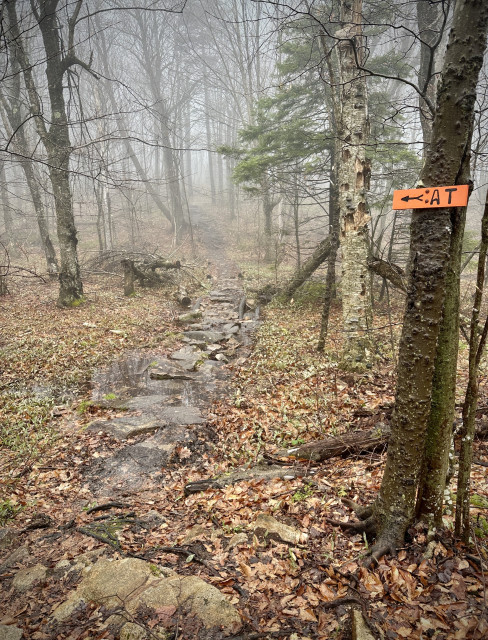 AT sign pointing at a wet rocky section shrouded in fog