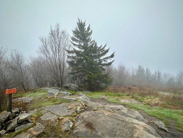 Top of Moose Mountain’s south peak, which usually doesn’t have much of a view and certainly none now with the morning fog