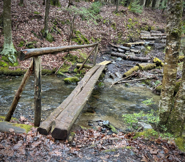 stream crossing of a couple flattened logs and a skinnier one mounted higher for a hand rail, on the other side is a collection of mud, rocks, and log making a stairs of sorts that have recently been reworked.