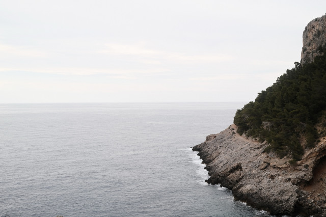 Cliffside with trees overlooking a calm sea.