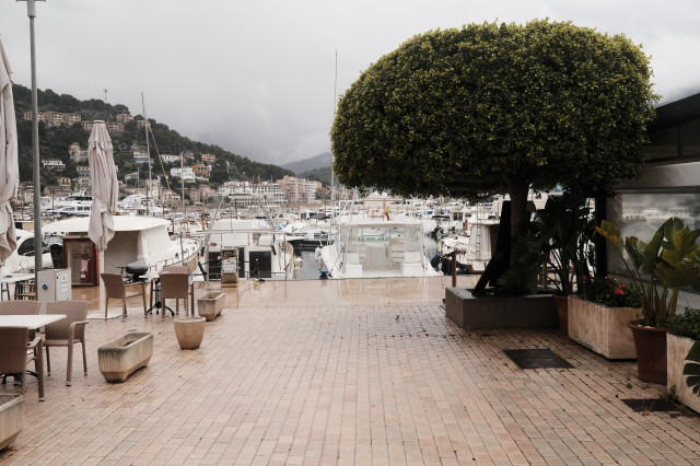 Marina with boats, outdoor seating and a trimmed tree on a cloudy day.