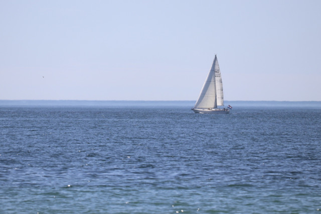 Photograph of a white-sailed boat moving across blue rippling water with a clear blue horizon beyond it.