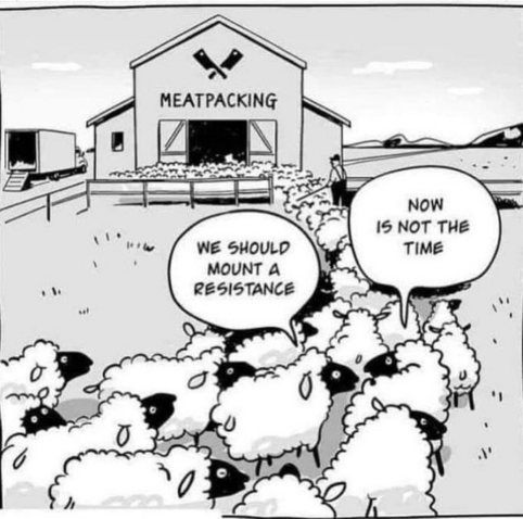 A line of sheep are making their way into a large barn marked "Meatpacking". One of them is saying "We should mount a resistance" and the one next to it is saying "Now is not the time".
