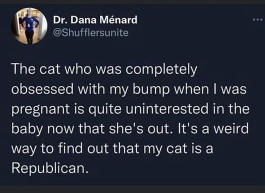 Meme with the text of “The cat who was completely obsessed with my bump when I was pregnant is quite uninterested in the baby now that she's out. It's a weird way to find out that my cat is a Republican.”