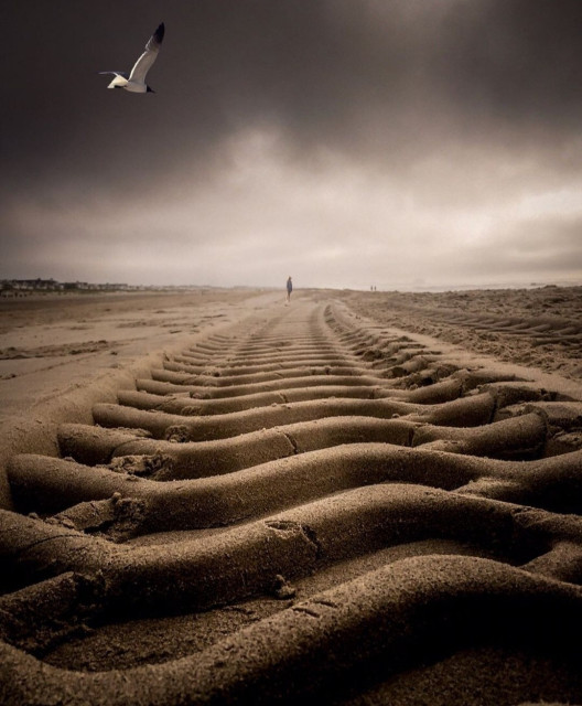 Photography. A color photo of a tire track on a sandy beach. The photo was taken lying on the ground. The focus is on this tire track pressed into the sandy ground, which runs through the picture like a road. A dramatic gray cloudy sky can be seen in the background, under which there is a brighter sky. In this diffuse light, a person can be seen walking along this path in the distance. A single seagull flies in the sky. The long track in the sand and the colors light brown, beige and the shades of grey give this photo a pleasant, wistful mood.