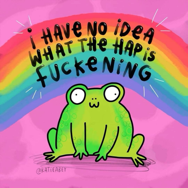 A meme with a rainbow and illustration of cute green wide eyed frog with the words “I have no idea what the hap is fuckening.”