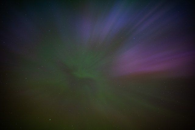A photo looking upwards to the night sky, showing the Aurora Borealis.
The colours are magenta and purple on the top of the picture, and green in the middle and bottom.
In the middle there's a pattern reminiscent of a bird silhouette.
